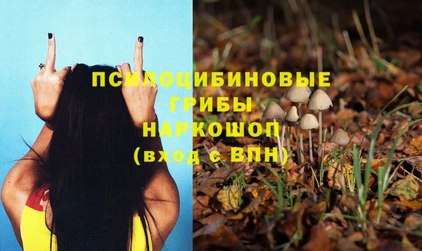 MDMA Premium VHQ Аркадак