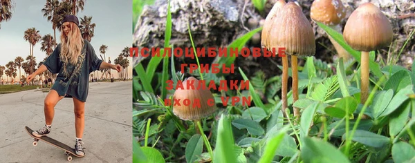 MDMA Premium VHQ Аркадак